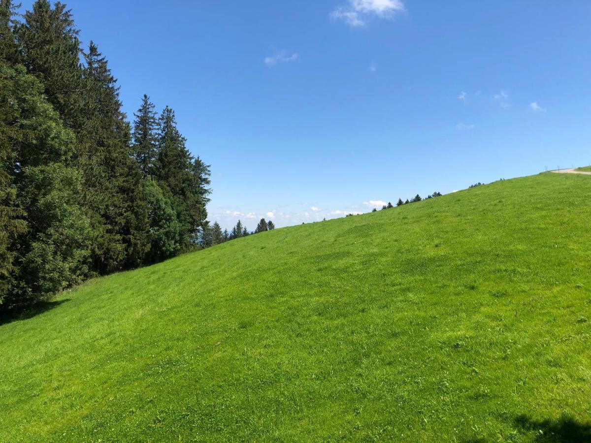 Hirschen Wald - Gasthaus & Baeckerei Buitenkant foto