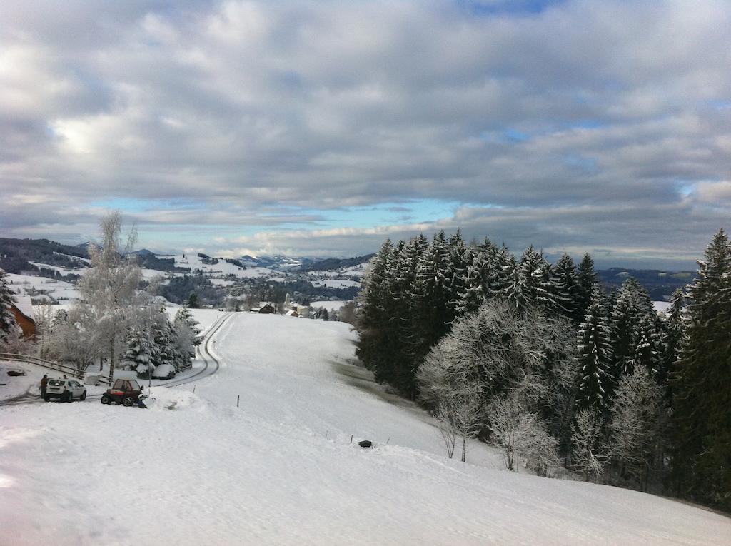 Hirschen Wald - Gasthaus & Baeckerei Buitenkant foto